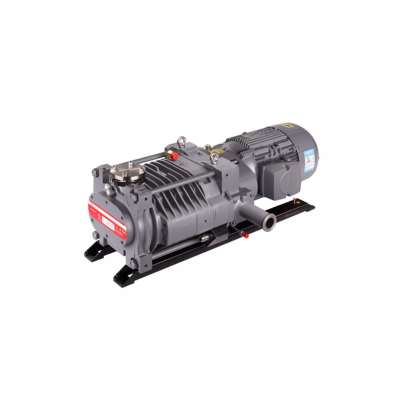 GV80 Dry Claw Vacuum Pump